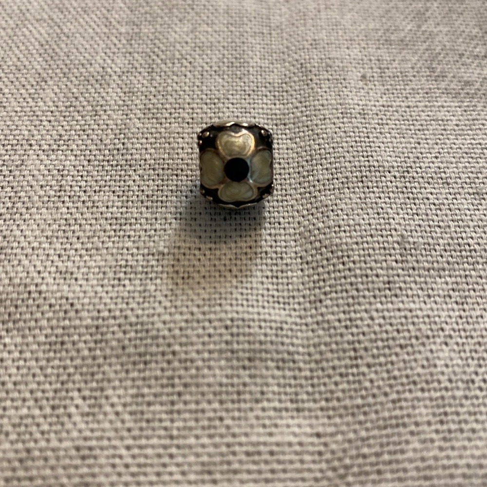 Pandora charm
